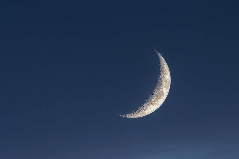 Lunar Backdrop